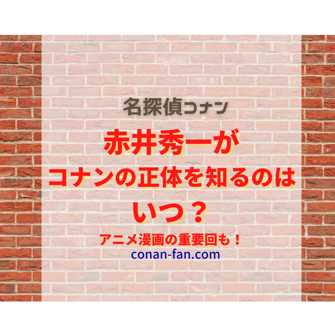 赤井秀一がコナンの正体を知るのはいつ アニメ漫画の重要回も 名探偵コナン 謎解きの部屋