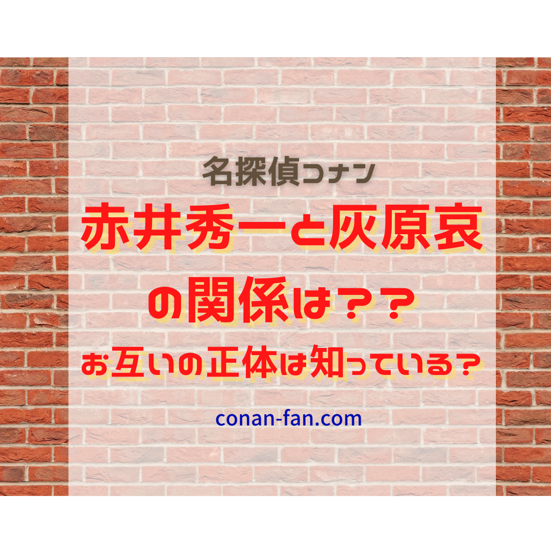 赤井秀一と灰原哀の関係は お互いの正体は知っている 名探偵コナン 謎解きの部屋